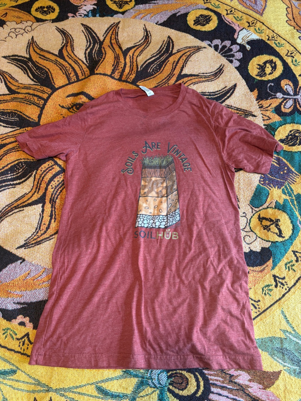 Bella Canvas Soil Hub Soils are Vintage Graphic Tshirt